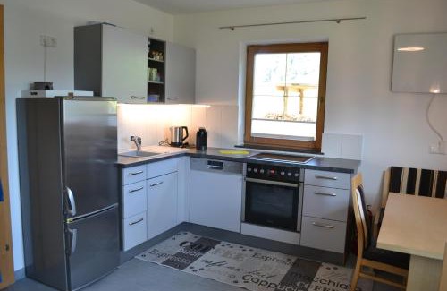 Wildschoenau Apartamento | Ferienwohnung Pusteblume