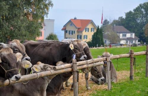 Wolfhalden Apartamento | Ferienwohnung Rätia