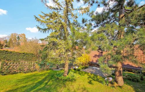 Flecken Zechlin Apartamento | Ferienwohnung Rheinsberg
