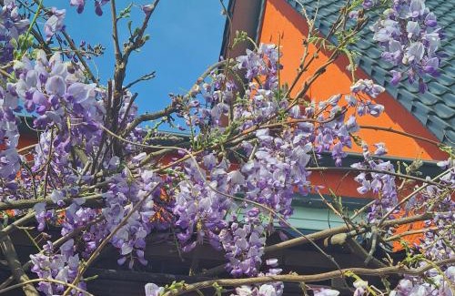 Rimbach Apartamento | Ferienwohnung Rimbach