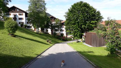 Missen-Wilhams Apartamento | Ferienwohnung Ritter
