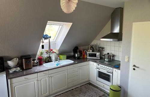 Catharinau Apartamento | Ferienwohnung Rudolstadt-Festival