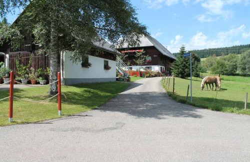 Schwarzenbach Apartamento | Ferienwohnung Schwarzwaldhof