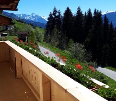Rohrberg Apartamento | Ferienwohnung Schiestl