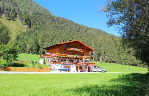 Flachau Apartamento | Ferienwohnung Schnell