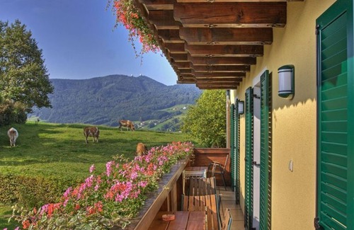Tiefgraben Apartamento | Ferienwohnung Seeblick 1. Stock - Pension Winter Am Irrsee