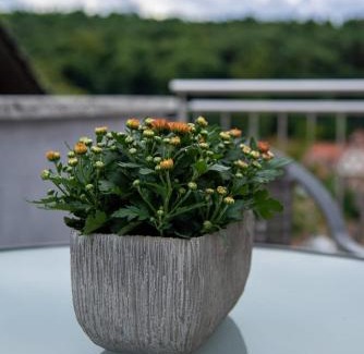 Dorrenbach Apartamento | FERIENWOHNUNG SILBERG