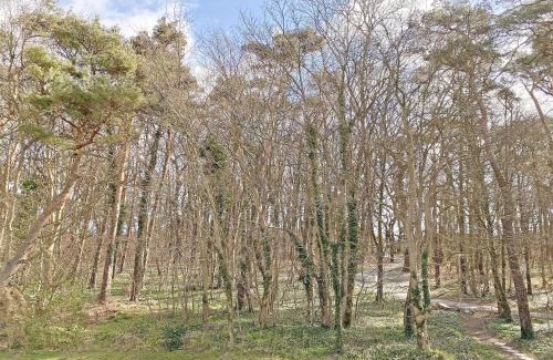 Thiessow Apartamento | Ferienwohnung Sonnenstrand Whg 12