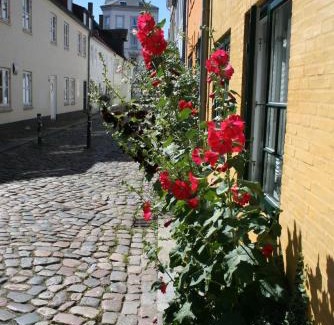 Flensburg Apartamento | Ferienwohnung Stadtgrün