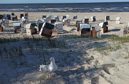 Trassenheide Apartamento | Ferienwohnung Strand25