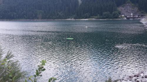 Gerlosberg Apartamento | Ferienwohnung Tobias