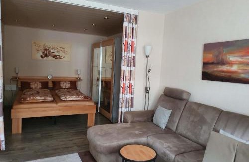 Todtmoos Apartamento | Ferienwohnung Todtmoos
