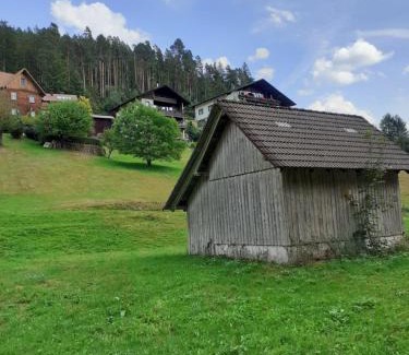 Baiersbronn Apartamento | Ferienwohnung Tonbachtal