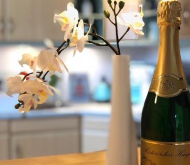 Haiger Apartamento | Ferienwohnung Tulpenweg mit Kaminofen