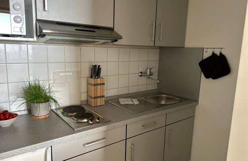 Geyersberg Apartamento | Ferienwohnung Uns Uwe mit Balkon
