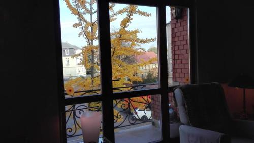 Radebeul Apartamento | Ferienwohnung Villa Fiedler