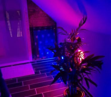 Timmel Apartamento | Ferienwohnung Wachsmann