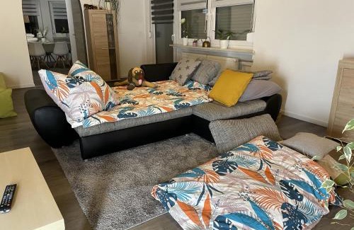 Losheim am See Apartamento | Ferienwohnung Waldeck