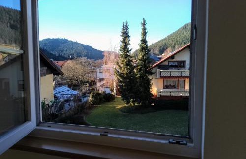 Mitteltal Apartamento | Ferienwohnung Waldrausch