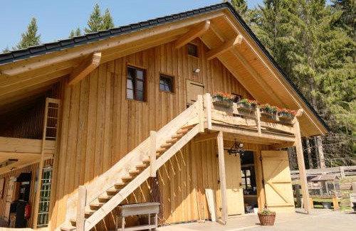 Masserberg Apartamento | Ferienwohnung Werraquell Hütte