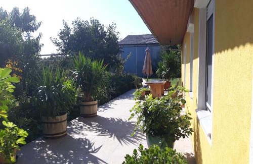 Sankt Andra am Zicksee Apartamento | Ferienwohnungen Sattler