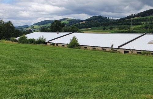 Velmede Apartamento | Ferienwohnungen Am Finkenweg