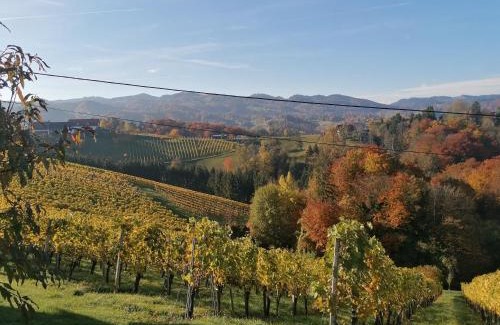 Glanz an der Weinstrasse Apartamento | Ferienwohnungen Kumpitsch am Poharnigberg