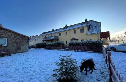 Schaprode Apartamento | Ferienwohnungen Rügen mit Hund