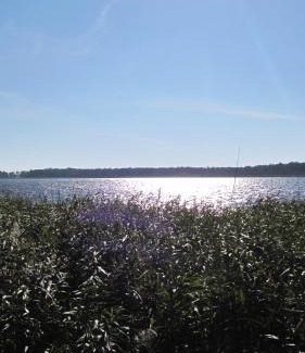 Wieck auf dem Darss Apartamento | Ferienwohnungen Reetwinkel in Wieck