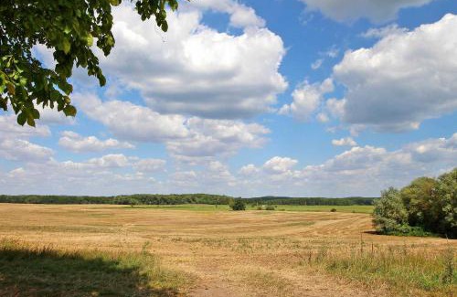 Roggentin Apartamento | Ferienwohnungen Roggentin SEE 9740