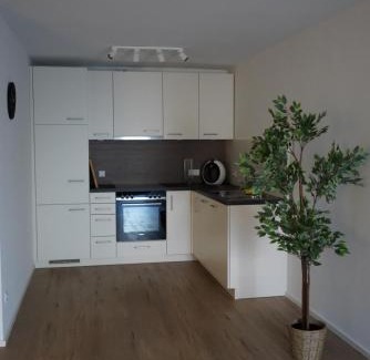 Mainz-Bingen Apartamento | Ferienwohnungen Rosengarten