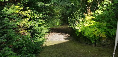 Wildemann Apartamento | Ferienwohnungen-Waldblick-Wohnung-2