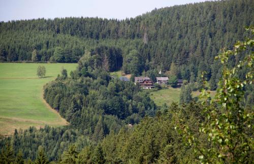 Triberg im Schwarzwald Apartamento | Ferienwohungen Gibbesbachhof