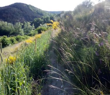 Bellegarde-en-Diois Cama Y Desayuno | Ferme Des Montagnes Bleues