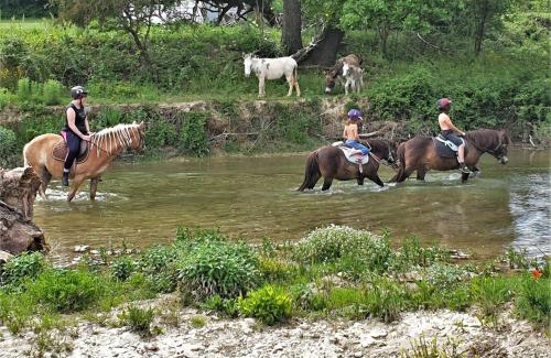 Lurs Casa | Ferme Equestre Les Coccinelles