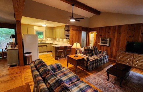 Brevard Cabina | Fern Hill Cabin - near Dupont State Forest