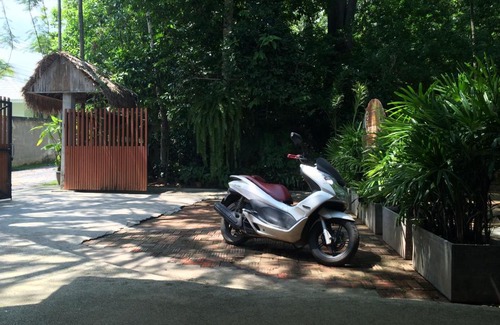 Chalong Complejo | Fern House Retreat