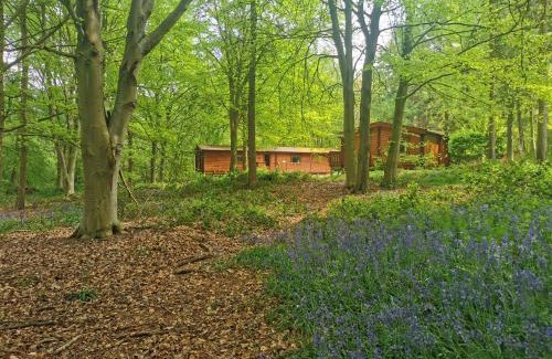 Kenwick Apartamento | Fern Lodge