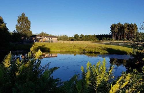 Perth Casa | Fern Lodge - Luxury Lodge with steamroom in Perthshire
