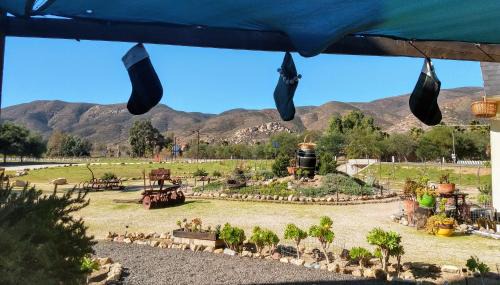 Valle de Guadalupe Cabina | Fernabella's Lodge
