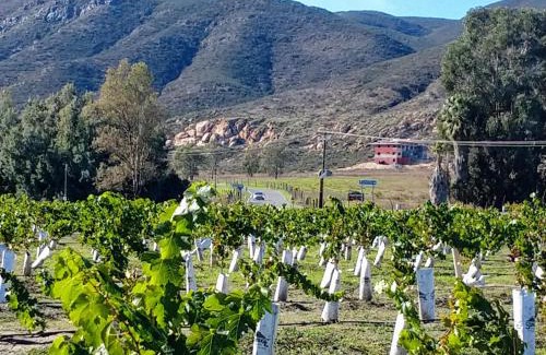 Valle de Guadalupe Cabina | Fernabella's Lodge