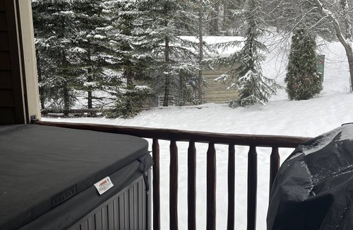 East Kootenay Condominio | Fernie Ski-In Condo, 2 bed, 2 bath, with private hot tub and BBQ.