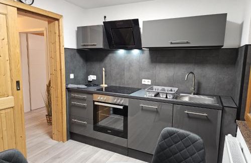 Reppner Apartamento | Fewo am See, Ferienhaus, 7 Schlafzimmer, Waschmaschine, Businesswohnung