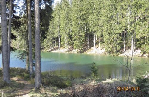 Bockswiese Apartamento | Fewo Am Wald 5
