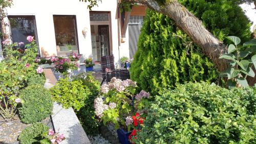Traben-Trarbach Apartamento | Fewo Blütenreich