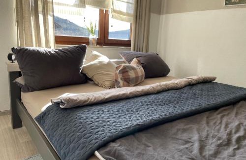 Niedersfeld Apartamento | FeWo Dorfblick mit 2 SZ, WLAN, Balkon & Ski- oder eBike Keller