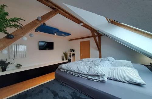 Flensburg Apartamento | FeWo Grüne Linie mit Balkon-Parken-Wallbox-TV-KoNi