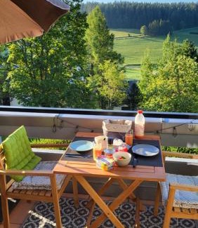 Schoenwald Apartamento | FeWo Gretel Schönwald