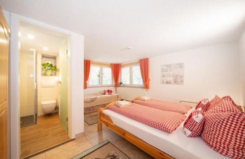 Oberschoenau Apartamento | Fewo Hoher Stein