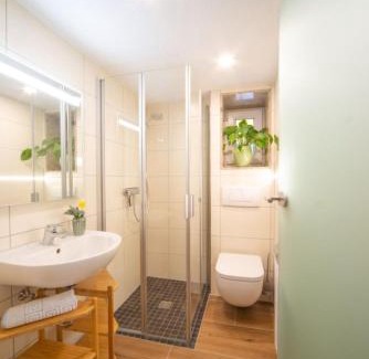 Oberschoenau Apartamento | Fewo Hoher Stein